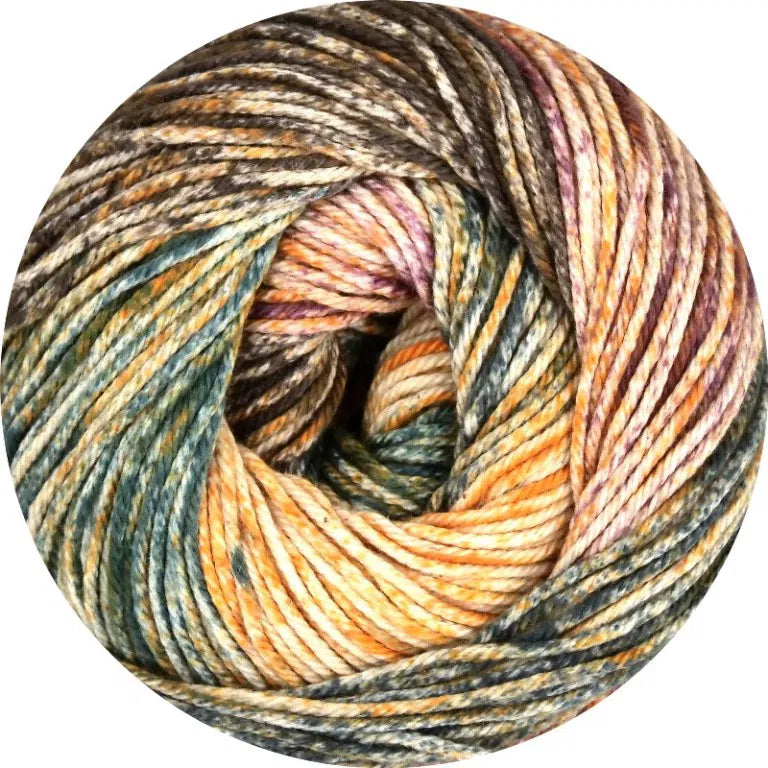 Linie 165 Sandy