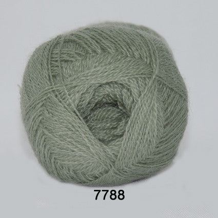 Alpaca 400