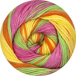 Linie 165 Sandy