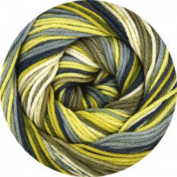 Linie 165 Sandy
