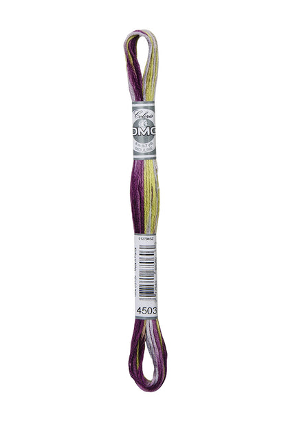 DMC Mouline Coloris