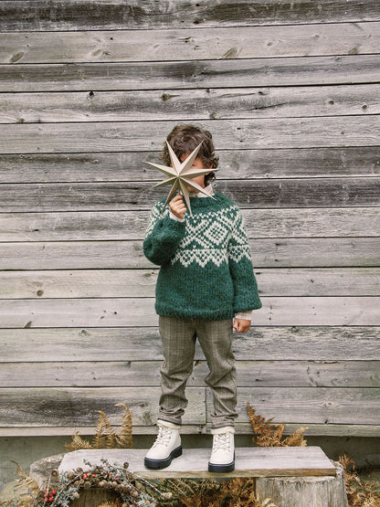 Tema 74 Marius jul